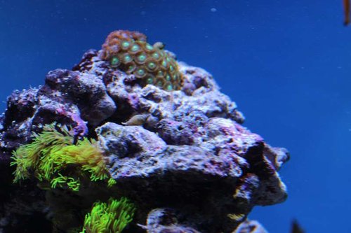 IMG_0500.JPG