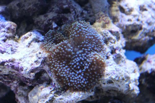 IMG_0501.JPG