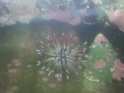 20131228_204210.jpg