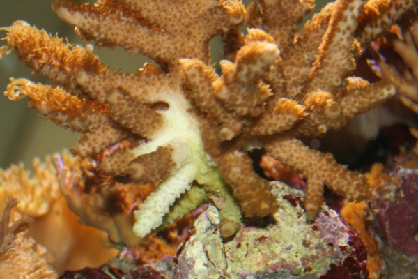No1 (600 x 400).jpg