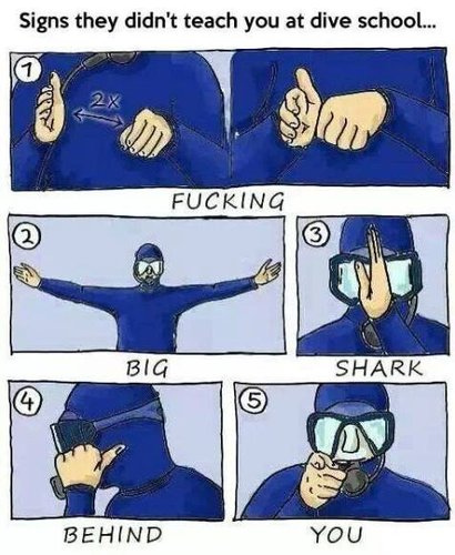håndtegn.jpg
