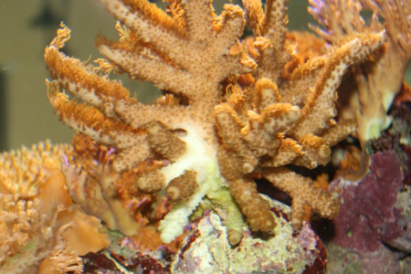 No3 (600 x 400).jpg