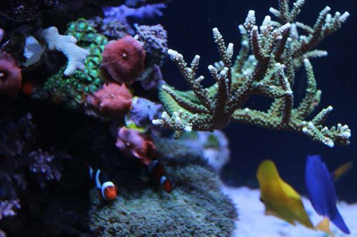 IMG_1225.jpg