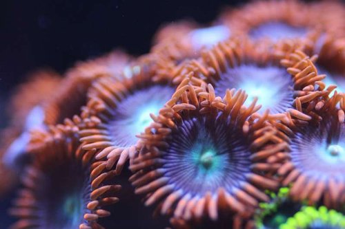 IMG_1234.jpg