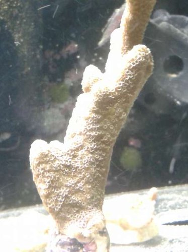 01.01 (4) frag stået 9 dage.jpg (24.58 KiB) Vist 5095 gange frag stået 9 dage. status?