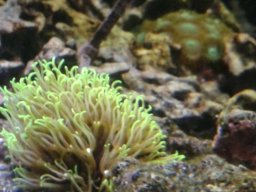 01.01 (11) stået 14 dage.jpg (44.43 KiB) Vist 5104 gange stået 14 dage