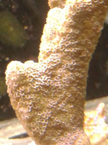 01.01 (26) stået i 9 dage.jpg (28.49 KiB) Vist 5095 gange stået 9 dage