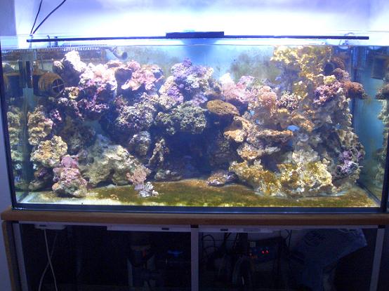 akvarie 003.jpg