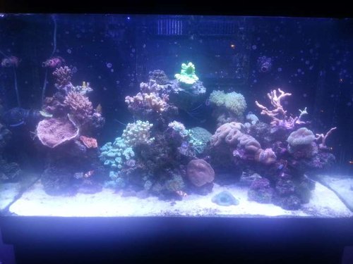 20131223_160905.jpg