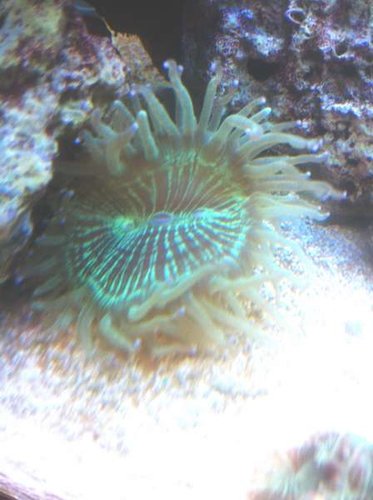 IMG_0694.JPG