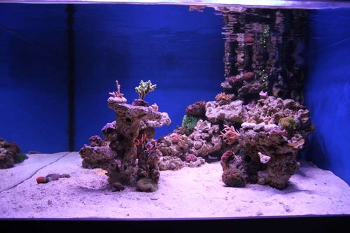 IMG_7650.JPG (45.81 KiB) Vist 2019 gange full tank shot