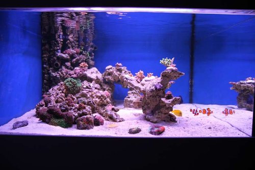 IMG_7655.JPG (44.36 KiB) Vist 2019 gange Full tank shot