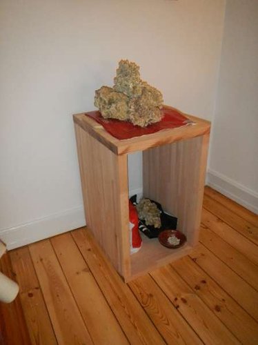 DSCN0600.JPG