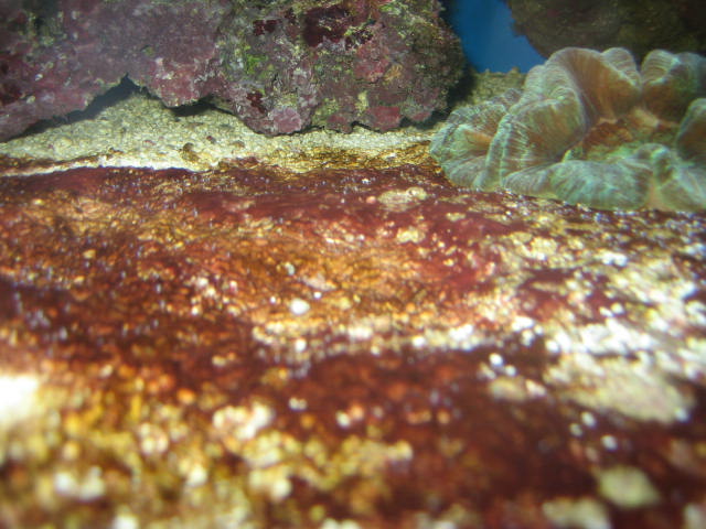 IMG_5764.JPG