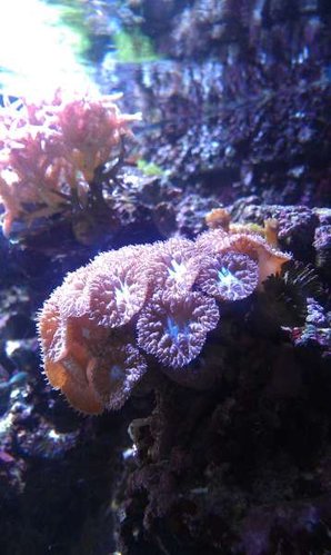 IMAG0480.jpg