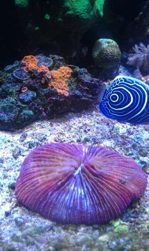IMAG0491.jpg
