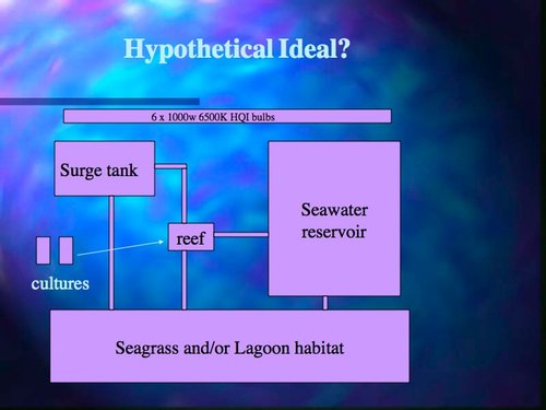 Slide62.jpg