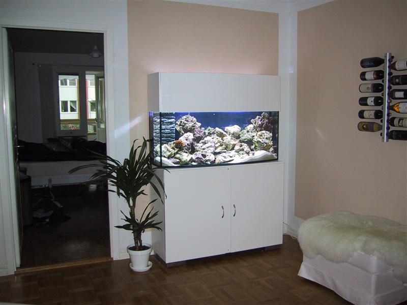 IMG_0252 (Medium).JPG
