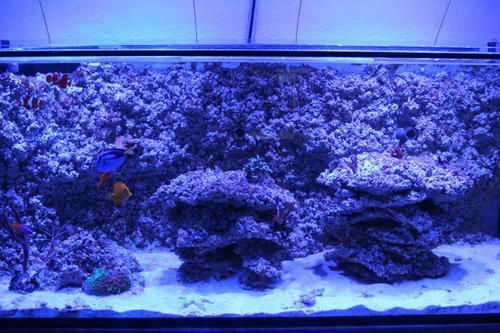 FTS.JPG