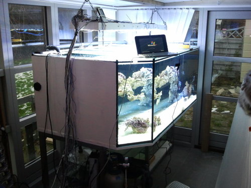 2014-01-20 09.40.05.jpg