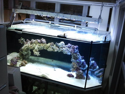 2014-01-20 09.40.37.jpg
