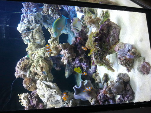 2014-01-23 09.06.52.jpg