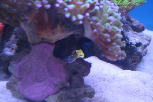 IMG_7741.JPG