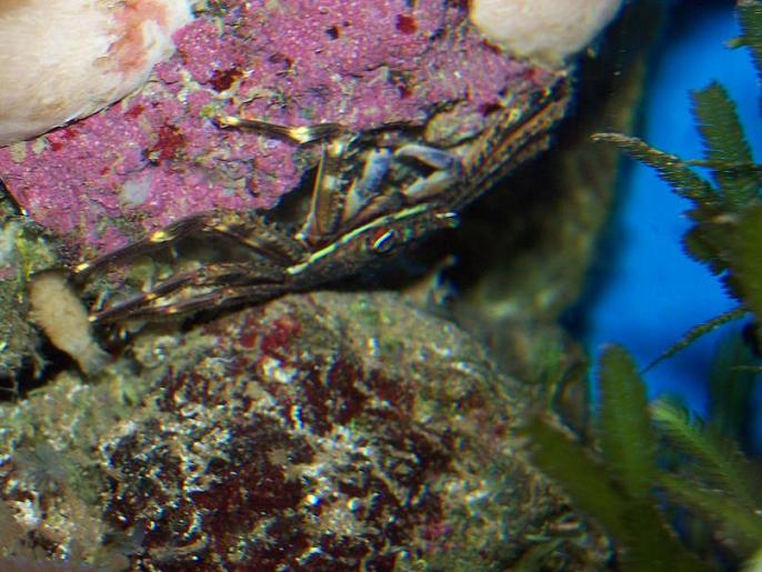 100_4554.JPG