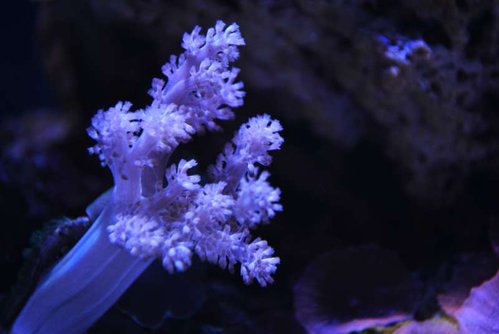 DSC_0053.JPG