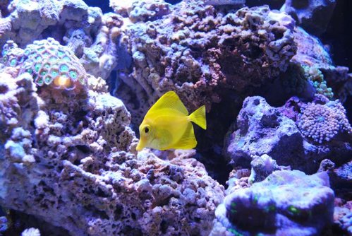 DSC_0112.JPG