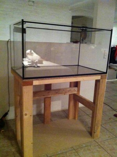 IMG_0581.JPG (25.57 KiB) Vist 2887 gange Akvarie+bord