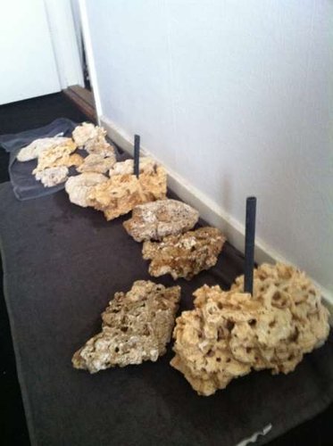 IMG_0622.JPG (23.13 KiB) Vist 2887 gange Hjemmelavede søjler I LS, behandlet i Klorin og Brintoverilte for at fjerne organisk materiale