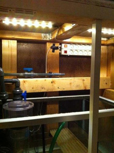 IMG_0626.JPG (27.71 KiB) Vist 2887 gange Sump