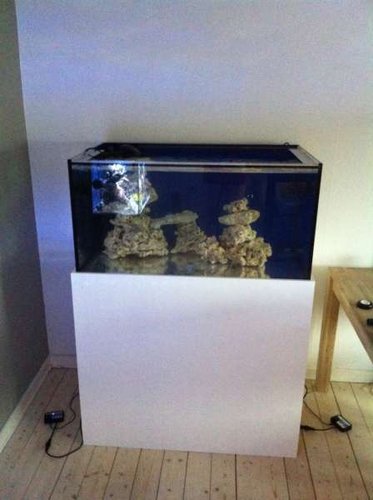 IMG_0629.JPG (21.99 KiB) Vist 2887 gange Akvariet