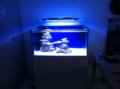 IMG_0646.JPG (26.37 KiB) Vist 2887 gange Akvariet med zetlight 6600 - der skal placeres Atoll søjler til højre!