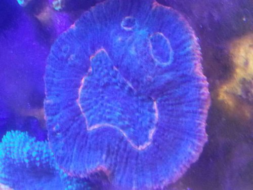 20130317_110819.jpeg