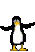 :penguin2: