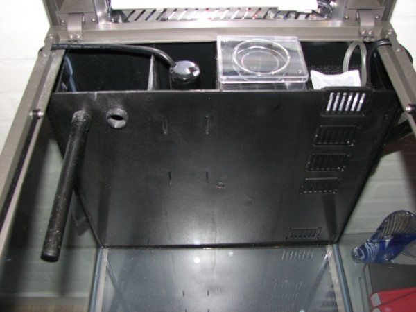 IMG_4473 (600 x 450).jpg