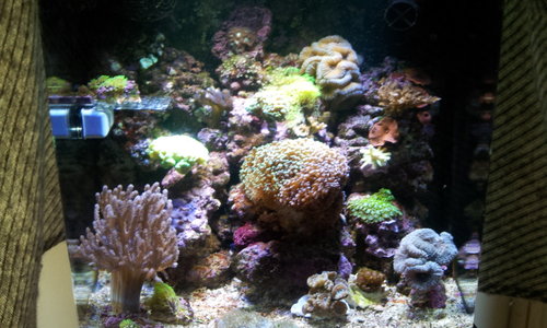 20140310_110136.jpg