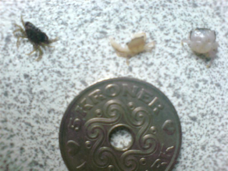 DSC00811 (Medium).JPG