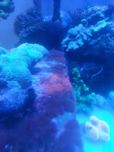 2014-05-12 17.23.33.jpg