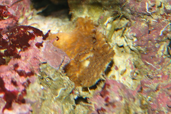 No 2 (600 x 400).jpg