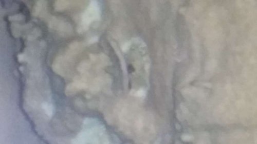 20140531_233431.jpg
