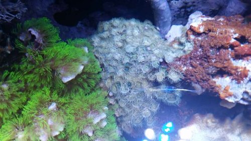 20140724_213012[1].jpg