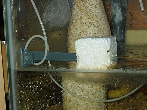the diy float switch