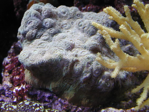P8210051-1.jpg
