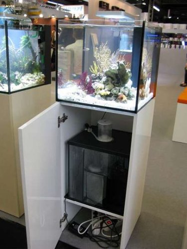 elos-system-mini-back (1).jpg