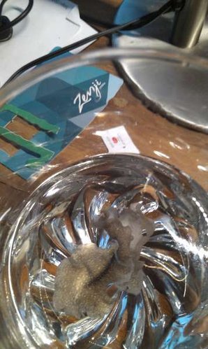 IMAG0098.jpg