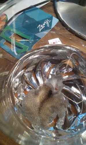 IMAG0099.jpg