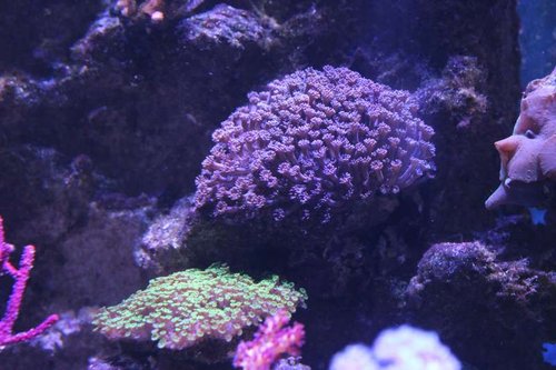 IMG_0507.JPG